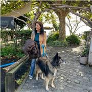 Grande esperienza nella Scuola pubblica lunga permanenza negli UK